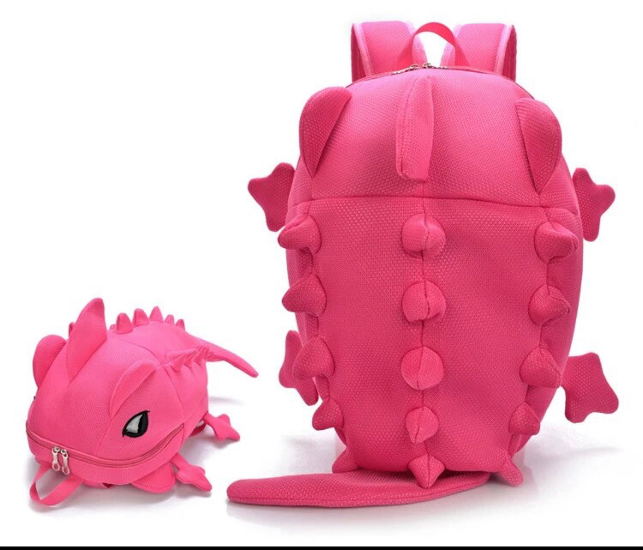 Chameleon back pack