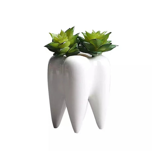Tooth 🦷 shaped bathroom accessorie /plant pot