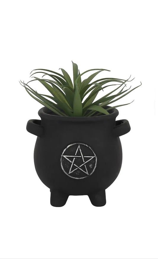 Gothic pagan witch Black pentagram Cauldron Terracotta Plant Pot